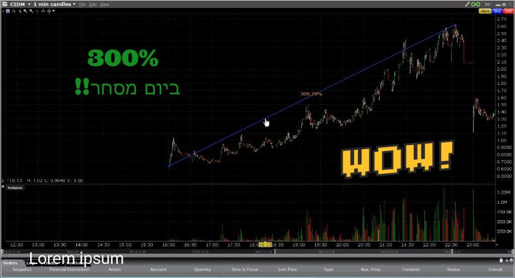 מניית היום: CIDM